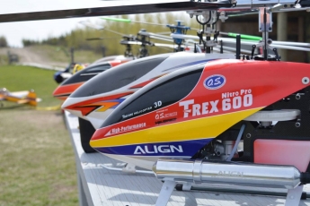 Cody's awesome Align T-Rex 600