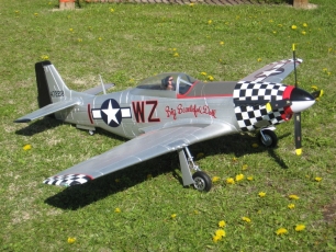Phil Rolls FMS P-51D