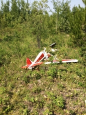 What's left of Phils Rascal 110 .